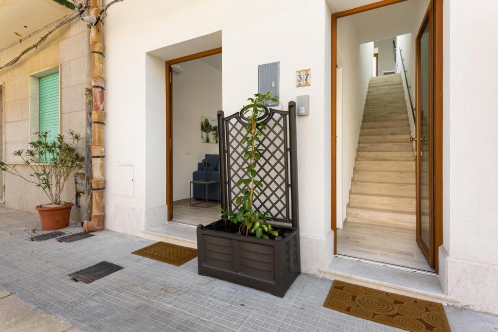 Bedda Luna Apartments San Vito Lo Capo Exterior foto